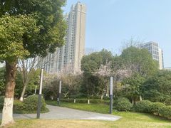 -悦江新远影城IMAX