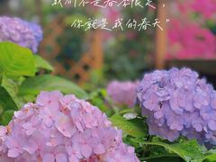 -欧洲房子(宜必思店)