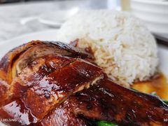 烧鹅饭-香港深井掂檔烧鹅茶餐厅(海韵城店)