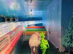 -西安银基冰雪世界