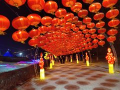 -沈阳奥体冰雪嘉年华