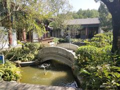 -大亚湾红树林城市湿地公园