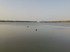 -天津东丽湖风景区