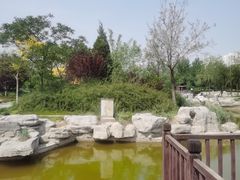 -绿岛公园(滨海新区)