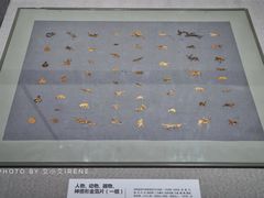 -包头博物馆