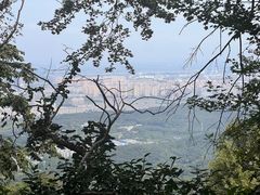 -紫金山山顶公园