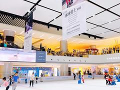 -TheRink大零溜冰场(IFS国金中心店)
