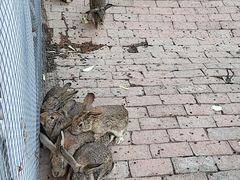 -金稼园·金平湖农家菜