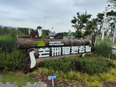 -芒洲湿地公园