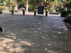 -杭州半山国家森林公园