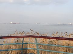 -上海吴淞炮台湾国家湿地公园