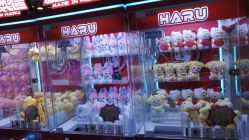 -晴空乐园(东厦100店)