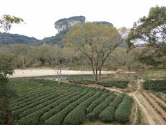 -武夷山风景名胜区-玉女峰