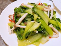 小蘑菇炒青菜-贯贯吉·清真餐厅(浙江中路店)