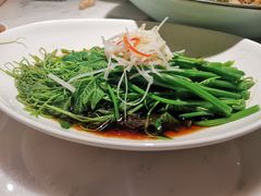 -初蓉丨遇见新川菜(亲贤街荣耀店)