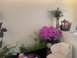 -海涛医疗美容·面部抗衰·注射美鼻