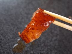 -黄连大头华烧鹅店(大良店)