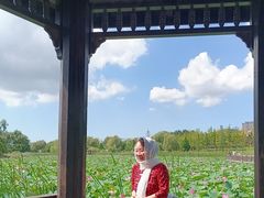 -羊亭河湿地公园