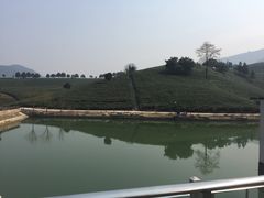 -帐篷客·溪龙茶谷度假酒店