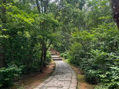 -天台山赤城山景区