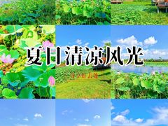 -黑龙江省森林植物园
