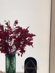 -Fundi张玉珊修身堂·indiba·BTL科技瘦身