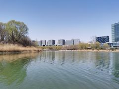 -大兴滨河森林公园