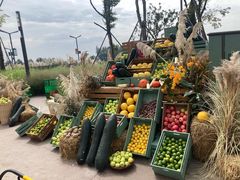 -中国天府农业博览园