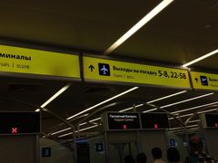 -谢列梅捷沃国际机场