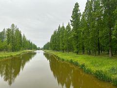 -黄海国家森林公园