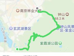 -紫金山山顶公园