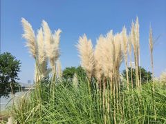 -上海山野camping·户外天幕烧烤·团建拓展营地