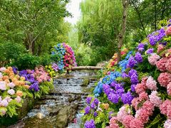 -沂蒙云瀑洞天景区