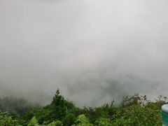 -武陵山森林公园