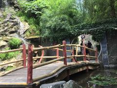 -少华山国家森林公园