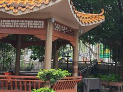 -长洲岛