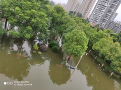 -汉水公园