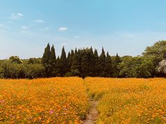-华东政法大学(松江校区)