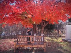 -长春世界雕塑园冰雪艺术天地