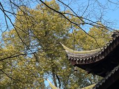 -西园戒幢律寺