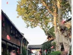 -运河游船(武林门码头)