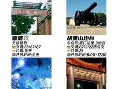-野草莓自由市场