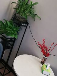 -苑苑vbeauty科技美容SPA