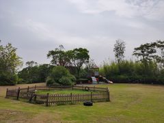 -上海崇明金茂凯悦酒店