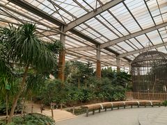 -南宫五洲植物乐园