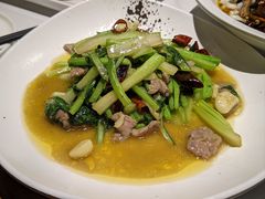 -三猫黑鱼花(南大店)