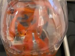 -风云再起游乐汇(南京常发广场店)