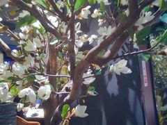 -味界·精致赣菜(招商花园城店)