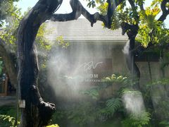 -Chom Cafe and Restaurant