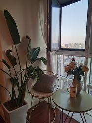 -演员的秘密·皮肤管理